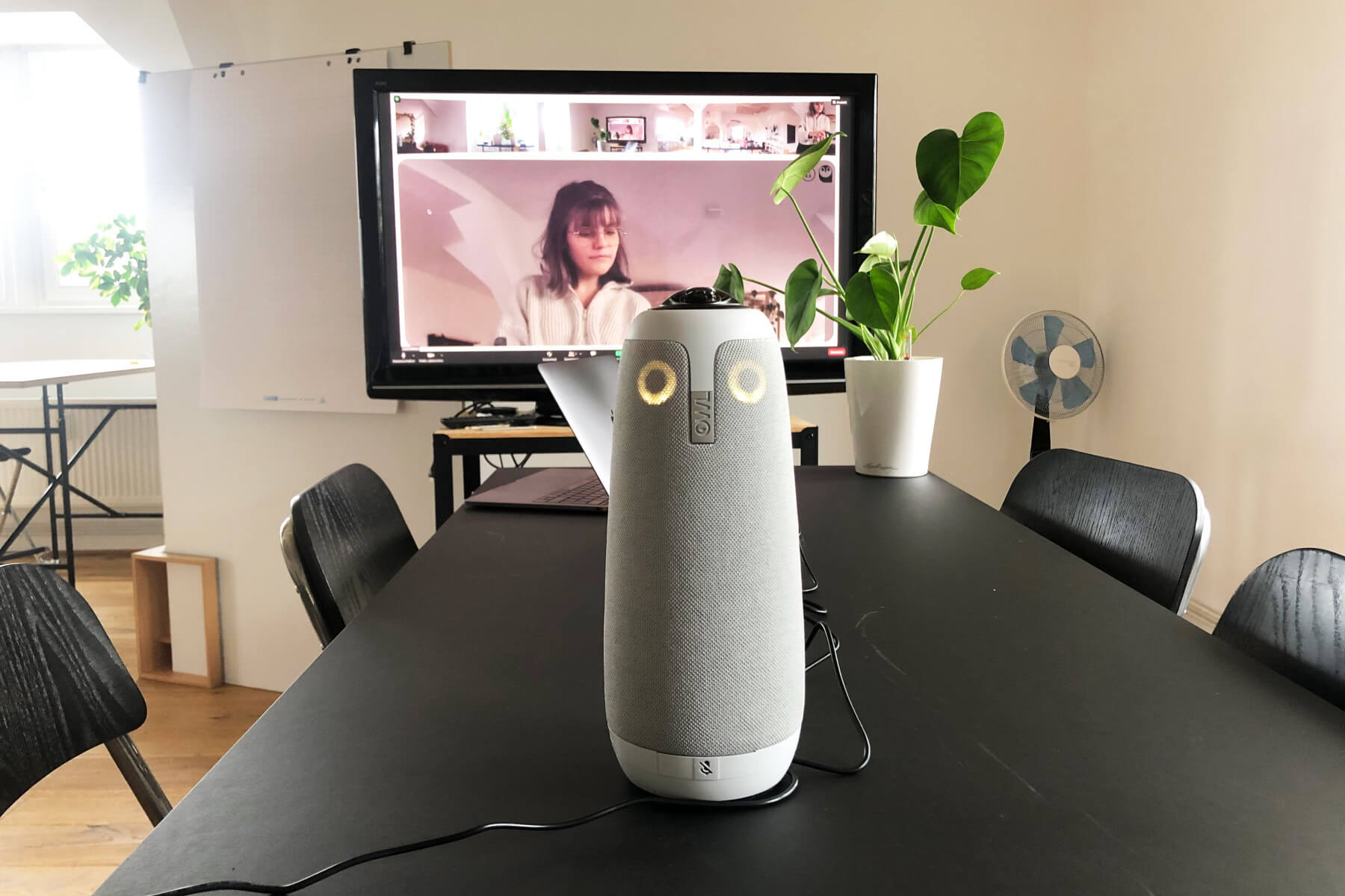 Meeting-Owl Eulfriede